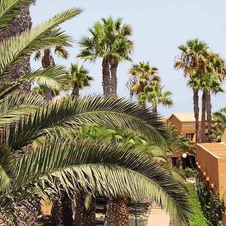 公寓 Oasis Dunas *