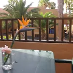 Apartmán Oasis Dunas