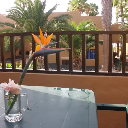 Apartment Oasis Dunas