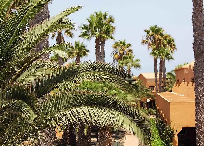 Apartment Oasis Dunas *