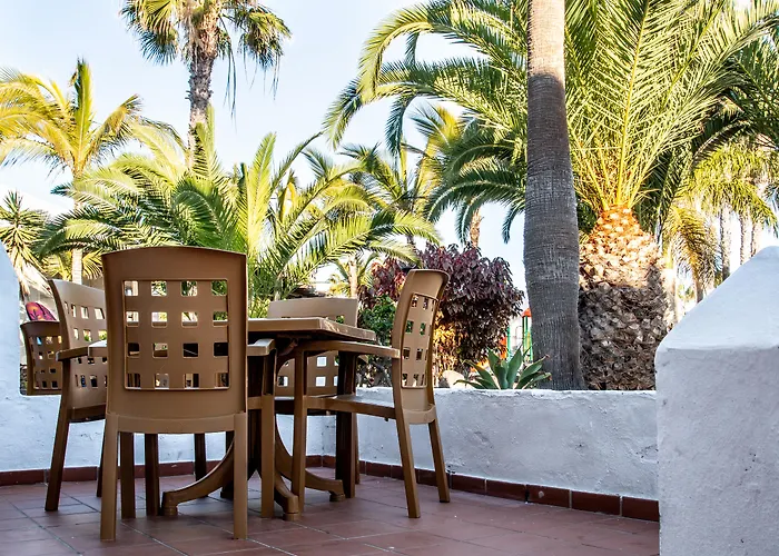 Oasis Dunas Appartement *