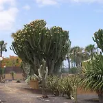 Oasis Dunas * Corralejo