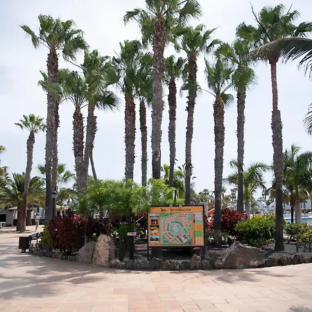 Oasis Dunas コラレホ