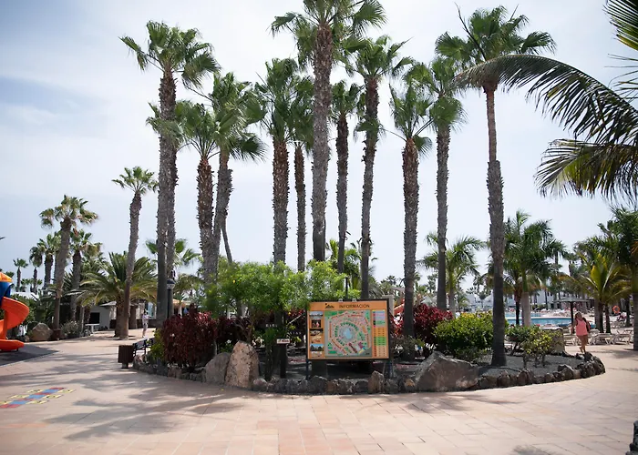 Oasis Dunas コラレホ